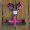 Geschirr oliv pink