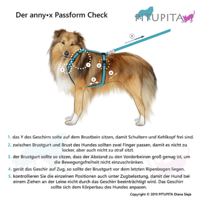 Geschirr dunkelgrau petrol – Bild 3