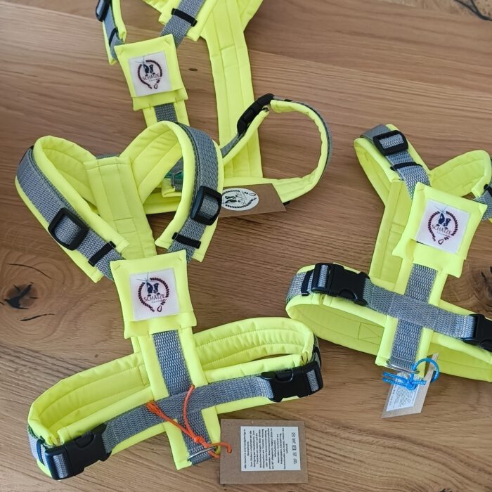 Geschirr neongelb hellgrau